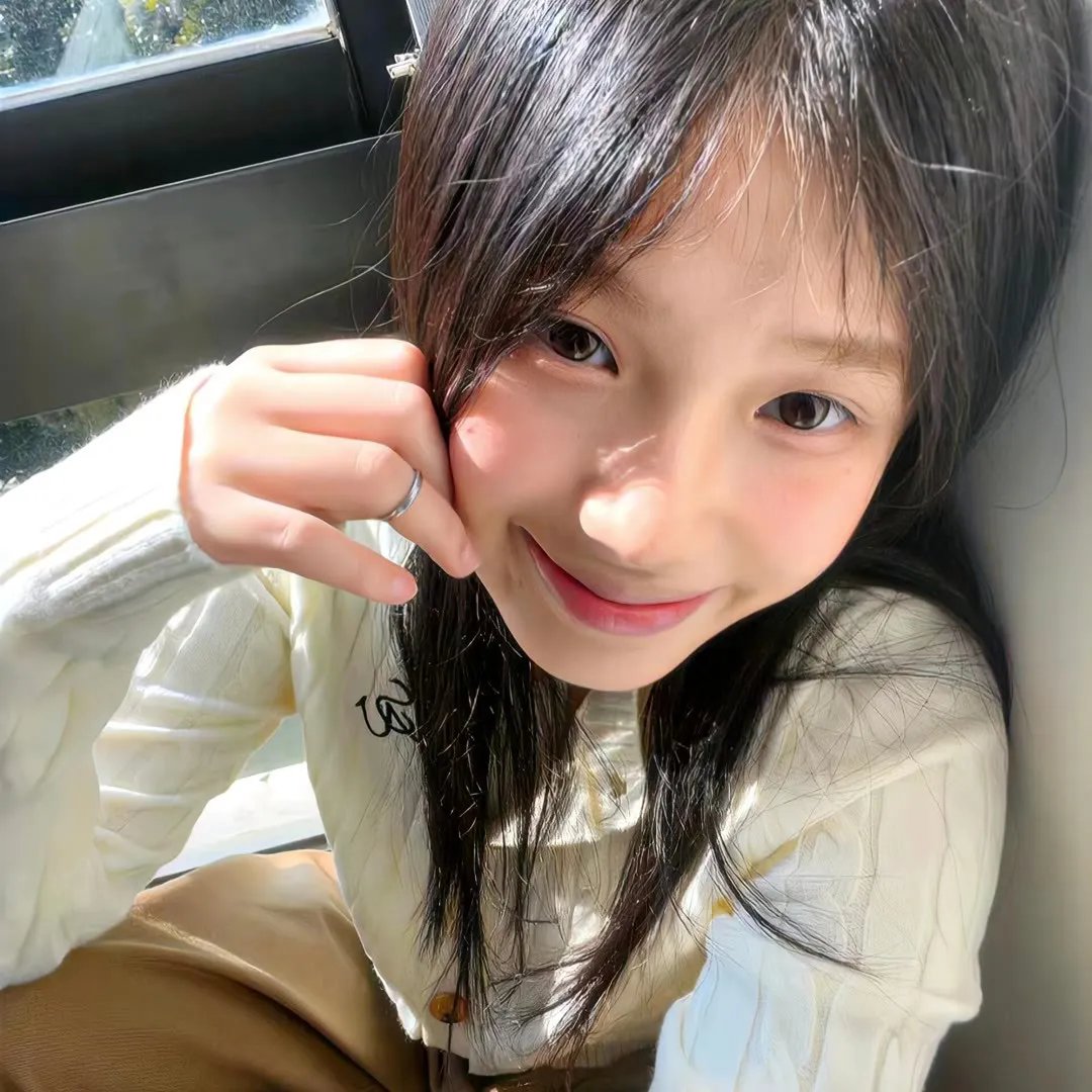 科搜研之女第24季